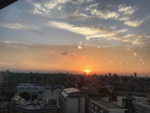 IMG_1441