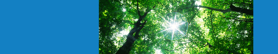 WS治療をうけられる治療院